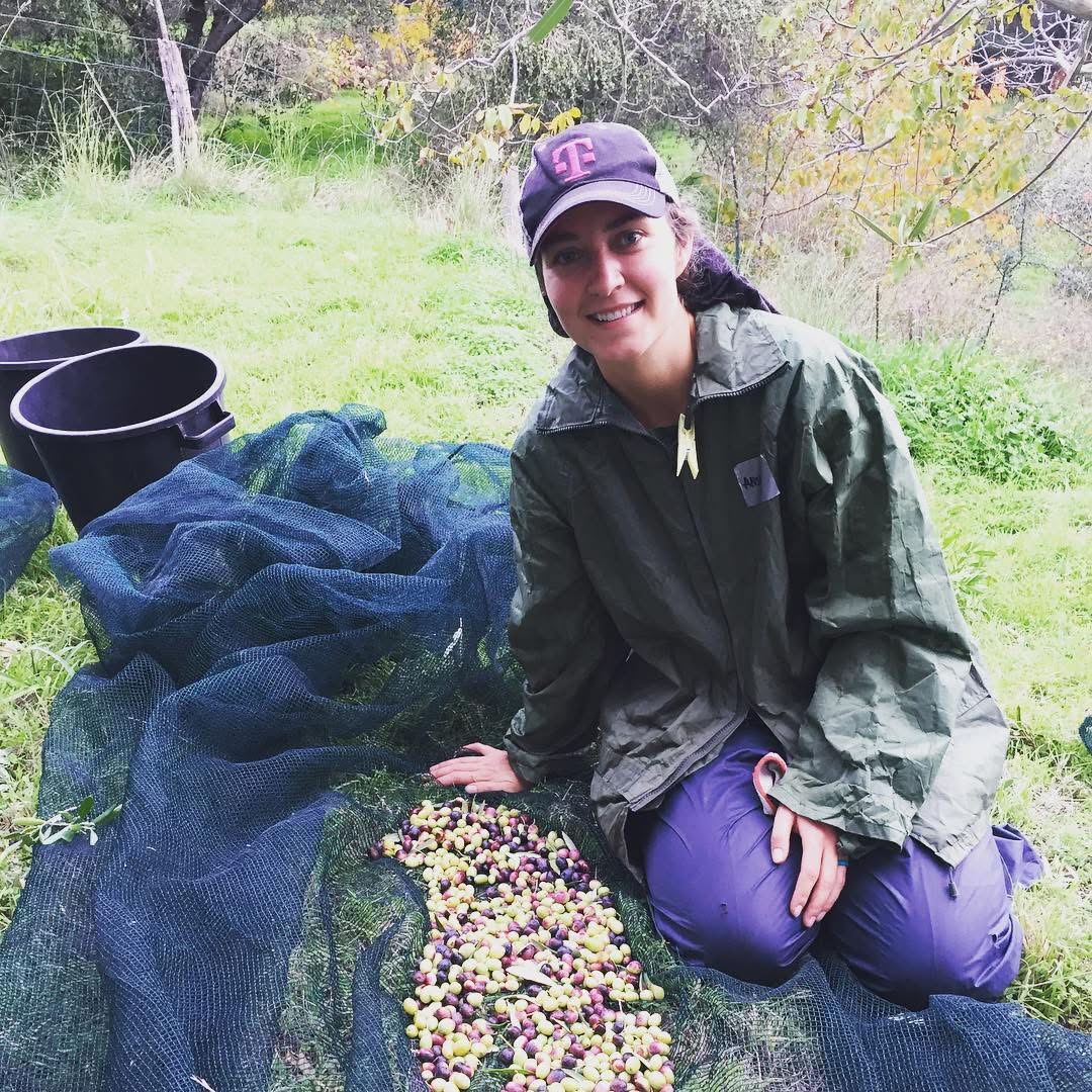 Serenity kneeling beside freshly harvested olives on a net in an Italian olive grove